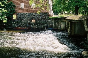 Przeszkoda w Wiesice