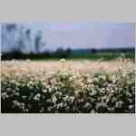 dn16c.html