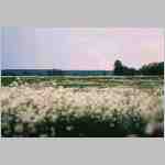 dn17c.html
